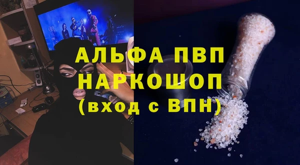 сатива Покачи
