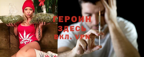 сатива Покачи