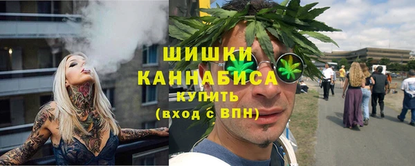 сатива Покачи