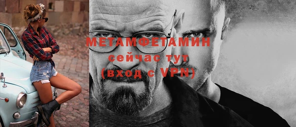 сатива Покачи
