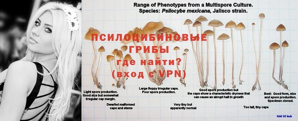 первитин Покров