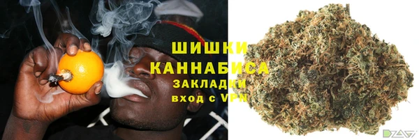 сатива Покачи