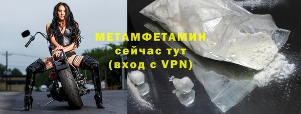 сатива Покачи