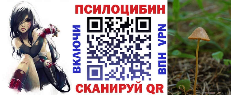 даркнет официальный сайт что такое наркотик Сосногорск Псилоцибиновые грибы GOLDEN TEACHER ссылка на мегу как войти